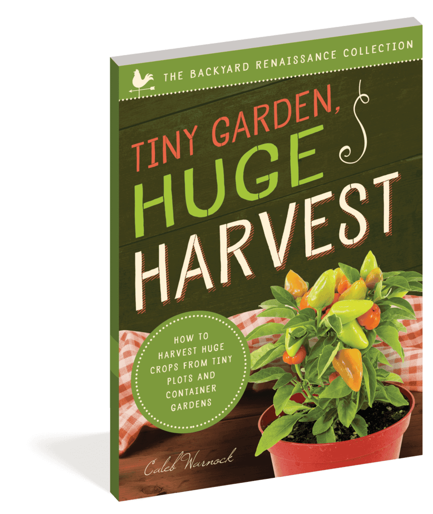 The cover of the book Tiny Garden, Huge Harvest.