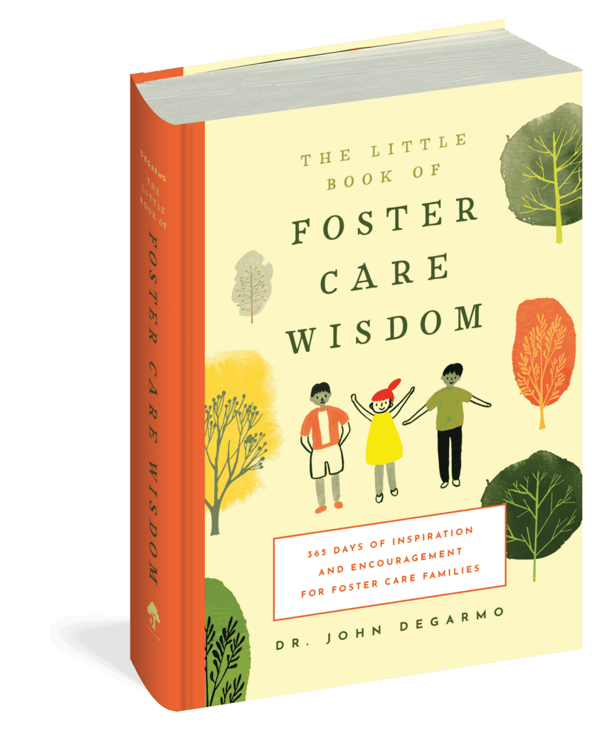The cover of the book The Little Book of Foster Care Wisdom.
