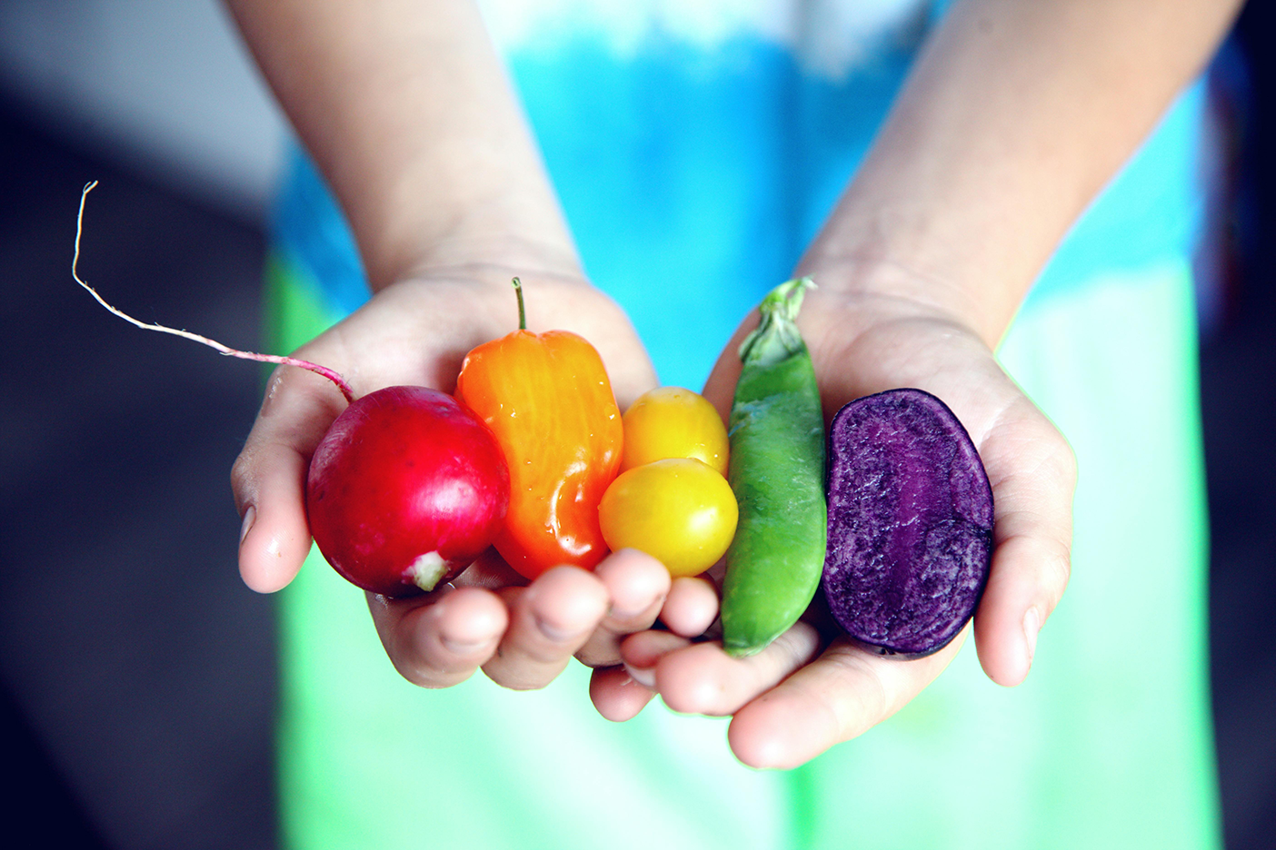 Hands holding fresh vegetables.