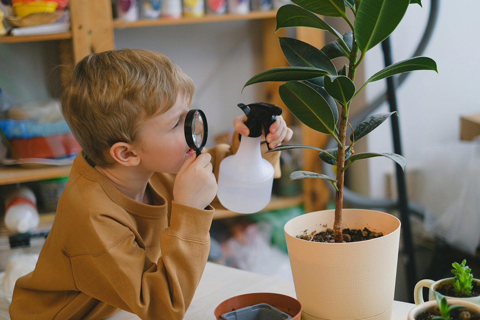 A young boy looking at a plant through a magnifying glass.