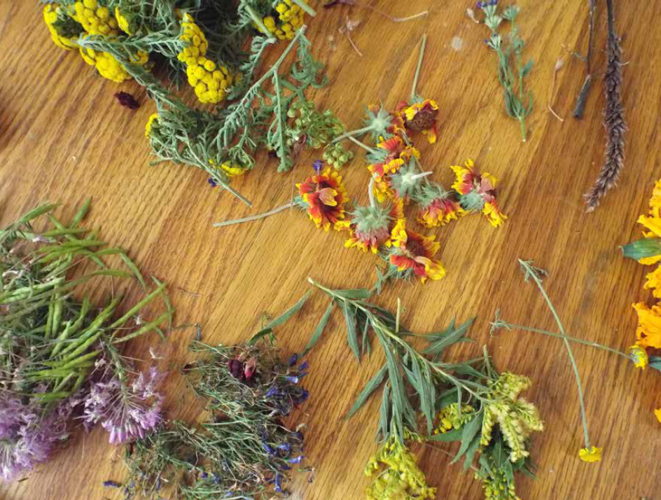 Plant stems, leaves, and flowers spread out on a wooden table.