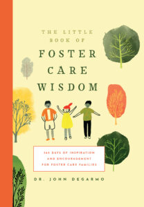 The Little Book of Foster Care Wisdom
