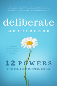 The cover of the book Deliberate Motherhood