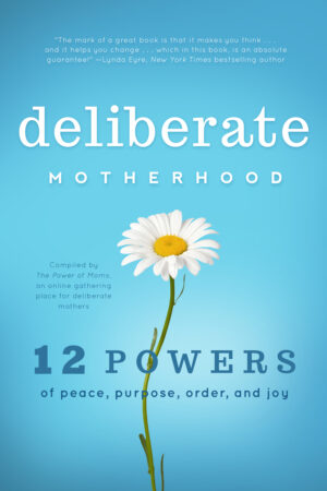 The cover of the book Deliberate Motherhood