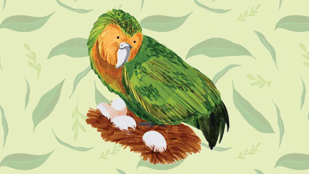 illustrated Kākāpō in its nest on a colorful background with leaves.