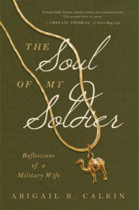 The Soul of My Soldier