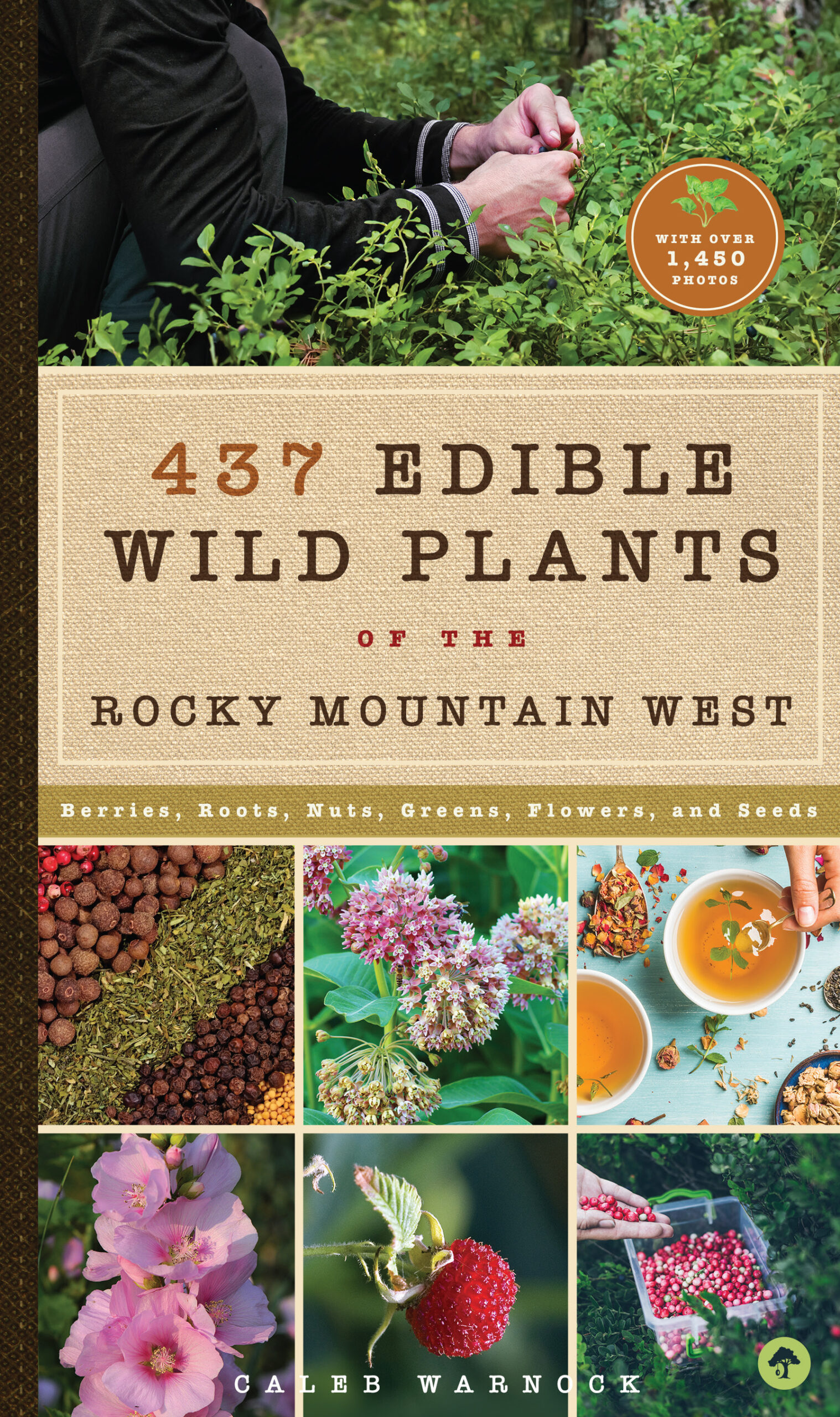 437 Edible Wild Plants of the Rocky Mountain West - Familius.com Shop