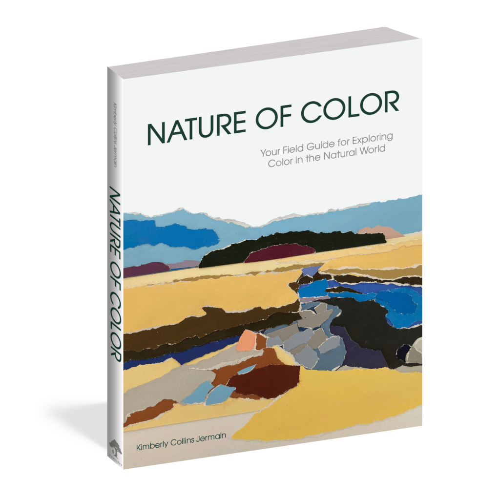 The cover of the book Nature of Color