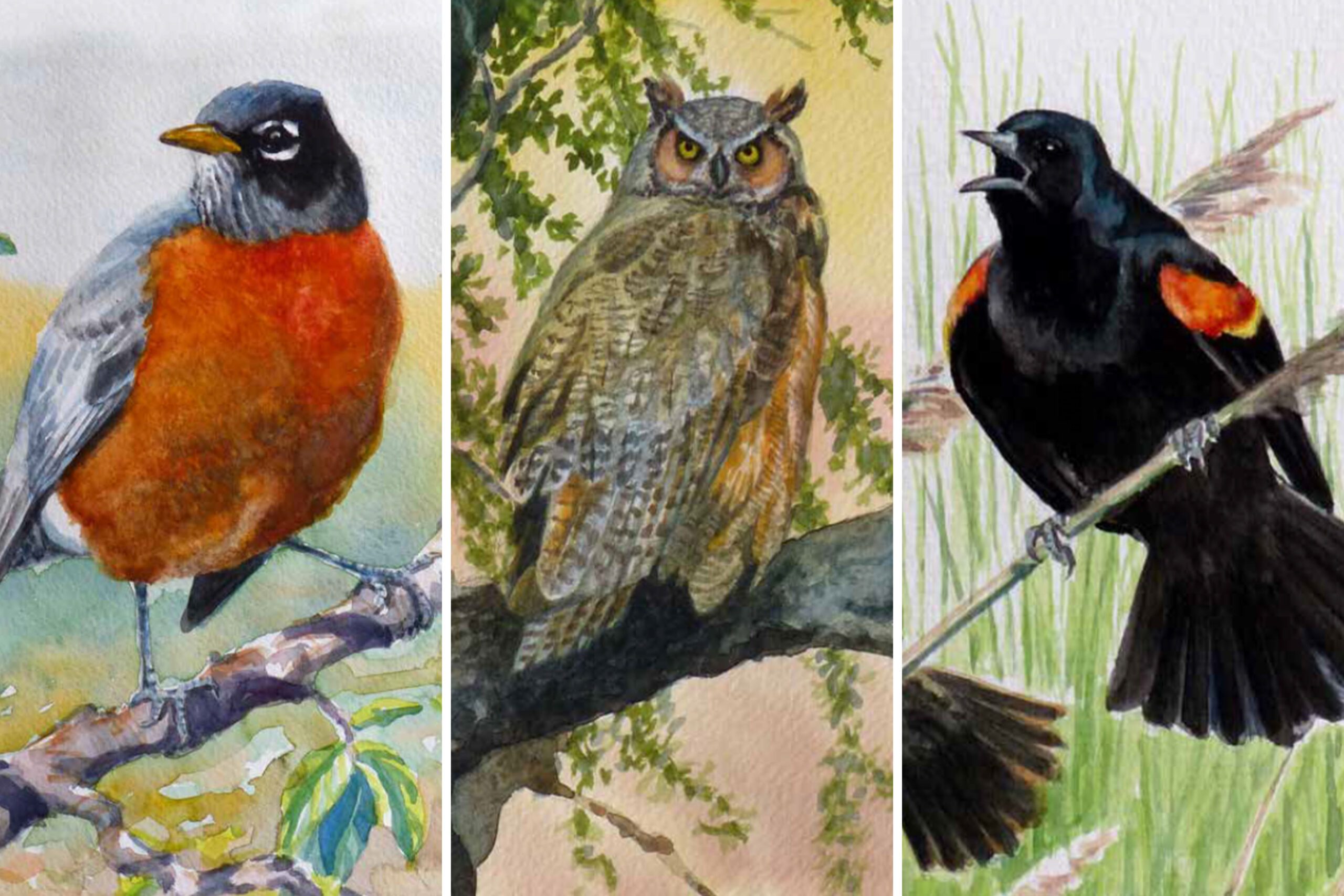 Watercolor illustrations of three birds in trees